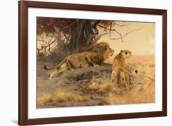 A lion and a lioness in the Savannah, 1912-Wilhelm Kuhnert-Framed Giclee Print