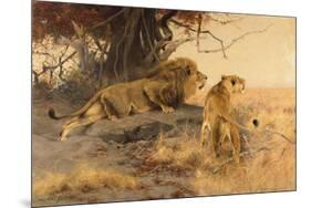 A lion and a lioness in the Savannah, 1912-Wilhelm Kuhnert-Mounted Giclee Print
