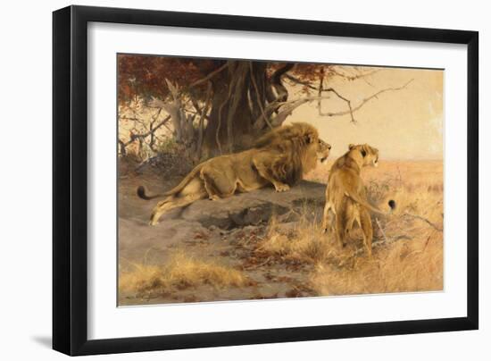 A lion and a lioness in the Savannah, 1912-Wilhelm Kuhnert-Framed Giclee Print