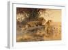 A lion and a lioness in the Savannah, 1912-Wilhelm Kuhnert-Framed Giclee Print