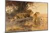 A lion and a lioness in the Savannah, 1912-Wilhelm Kuhnert-Mounted Giclee Print