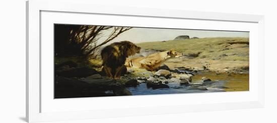 A Lion and Lioness at a Stream-Wilhelm Kuhnert-Framed Premium Giclee Print