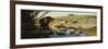 A Lion and Lioness at a Stream-Wilhelm Kuhnert-Framed Premium Giclee Print