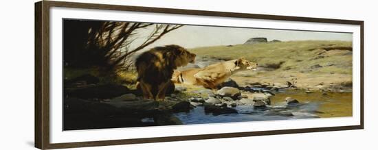 A Lion and Lioness at a Stream-Wilhelm Kuhnert-Framed Premium Giclee Print