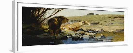 A Lion and Lioness at a Stream-Wilhelm Kuhnert-Framed Premium Giclee Print