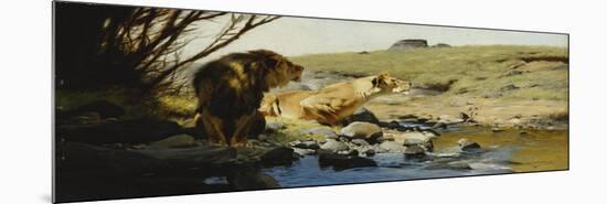 A Lion and Lioness at a Stream-Wilhelm Kuhnert-Mounted Premium Giclee Print