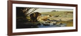 A Lion and Lioness at a Stream-Wilhelm Kuhnert-Framed Giclee Print