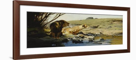 A Lion and Lioness at a Stream-Wilhelm Kuhnert-Framed Giclee Print