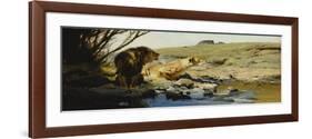 A Lion and Lioness at a Stream-Wilhelm Kuhnert-Framed Giclee Print