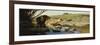 A Lion and Lioness at a Stream-Wilhelm Kuhnert-Framed Giclee Print