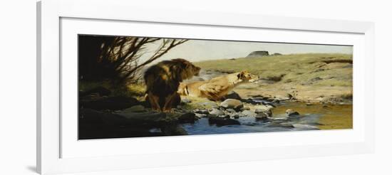 A Lion and Lioness at a Stream-Wilhelm Kuhnert-Framed Giclee Print