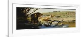 A Lion and Lioness at a Stream-Wilhelm Kuhnert-Framed Giclee Print