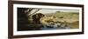 A Lion and Lioness at a Stream-Wilhelm Kuhnert-Framed Giclee Print