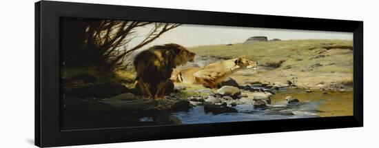 A Lion and Lioness at a Stream-Wilhelm Kuhnert-Framed Premium Giclee Print