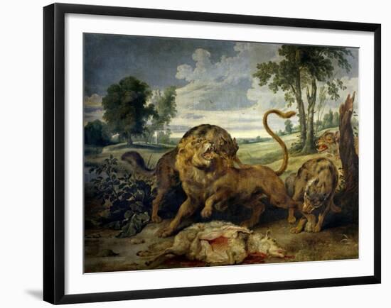 A Lion and Three Wolves-Paul de Vos-Framed Giclee Print