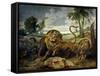 A Lion and Three Wolves-Paul de Vos-Framed Stretched Canvas