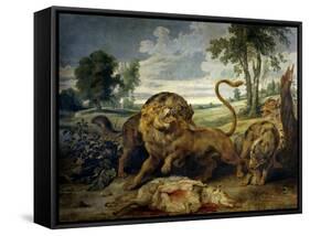 A Lion and Three Wolves-Paul de Vos-Framed Stretched Canvas