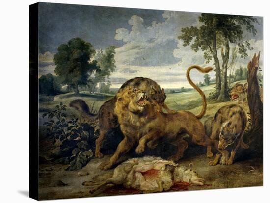 A Lion and Three Wolves-Paul de Vos-Stretched Canvas