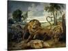 A Lion and Three Wolves-Paul de Vos-Stretched Canvas