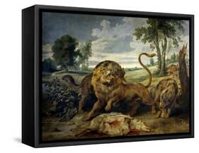 A Lion and Three Wolves-Paul de Vos-Framed Stretched Canvas