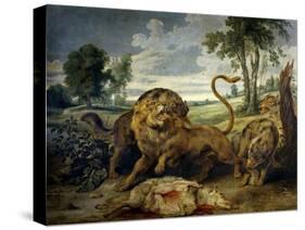 A Lion and Three Wolves-Paul de Vos-Stretched Canvas