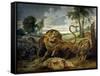 A Lion and Three Wolves-Paul de Vos-Framed Stretched Canvas