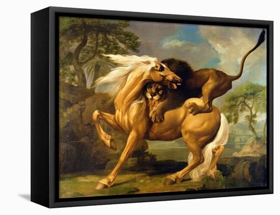 A Lion Attacking a Horse, c.1762-George Stubbs-Framed Stretched Canvas