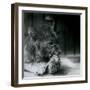 A Lion Cub Feeding at ZSL London Zoo in 1927 (B/W Photo)-Frederick William Bond-Framed Giclee Print