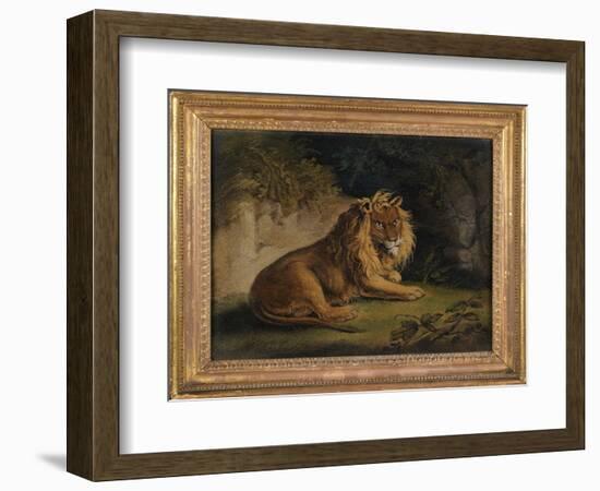 A Lion in a Jungle Landscape-Benjamin Zobel-Framed Giclee Print