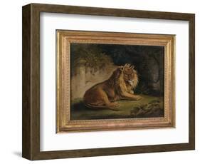 A Lion in a Jungle Landscape-Benjamin Zobel-Framed Giclee Print