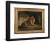 A Lion in a Jungle Landscape-Benjamin Zobel-Framed Giclee Print