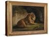 A Lion in a Jungle Landscape-Benjamin Zobel-Stretched Canvas