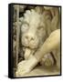 A Lion Licking the foot of Daniel-Giovanni Lorenzo Bernini-Framed Stretched Canvas