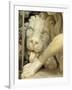 A Lion Licking the foot of Daniel-Giovanni Lorenzo Bernini-Framed Giclee Print