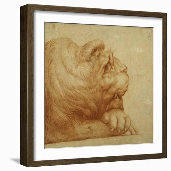 A Lion's Head in Profile-Francesco De Rossi Salviati Cecchino-Framed Giclee Print