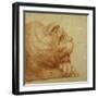 A Lion's Head in Profile-Francesco De Rossi Salviati Cecchino-Framed Giclee Print
