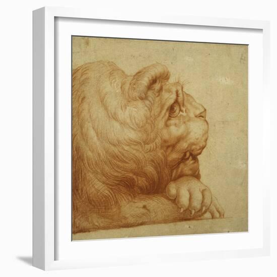 A Lion's Head in Profile-Francesco De Rossi Salviati Cecchino-Framed Giclee Print