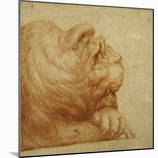 A Lion's Head in Profile-Francesco De Rossi Salviati Cecchino-Mounted Giclee Print