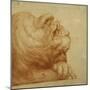 A Lion's Head in Profile-Francesco De Rossi Salviati Cecchino-Mounted Giclee Print