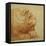 A Lion's Head in Profile-Francesco De Rossi Salviati Cecchino-Framed Stretched Canvas