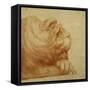 A Lion's Head in Profile-Francesco De Rossi Salviati Cecchino-Framed Stretched Canvas