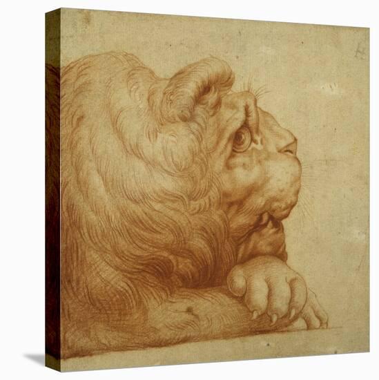 A Lion's Head in Profile-Francesco De Rossi Salviati Cecchino-Stretched Canvas