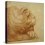 A Lion's Head in Profile-Francesco De Rossi Salviati Cecchino-Stretched Canvas