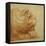 A Lion's Head in Profile-Francesco De Rossi Salviati Cecchino-Framed Stretched Canvas