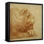 A Lion's Head in Profile-Francesco De Rossi Salviati Cecchino-Framed Stretched Canvas