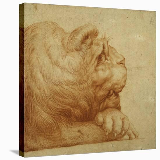 A Lion's Head in Profile-Francesco De Rossi Salviati Cecchino-Stretched Canvas