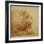 A Lion's Head in Profile-Francesco De Rossi Salviati Cecchino-Framed Giclee Print