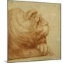 A Lion's Head in Profile-Francesco De Rossi Salviati Cecchino-Mounted Giclee Print