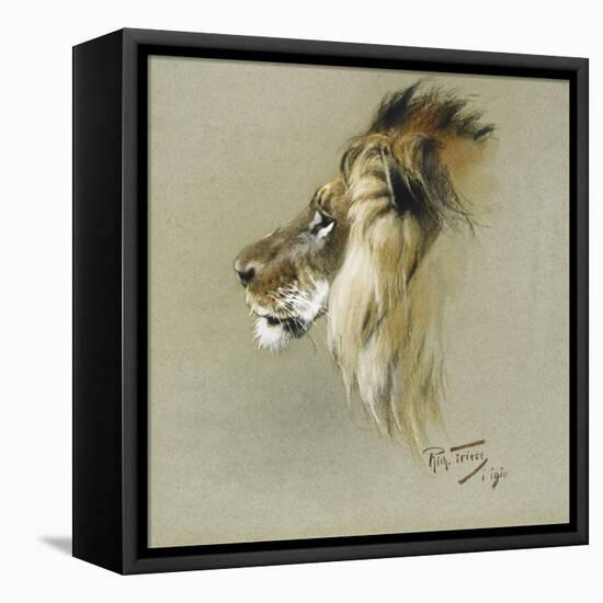 A Lion's Head-Richard Friese-Framed Stretched Canvas