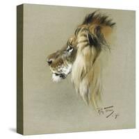 A Lion's Head-Richard Friese-Stretched Canvas